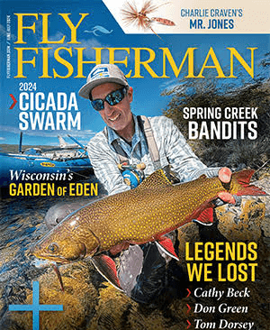 Fly Fisherman