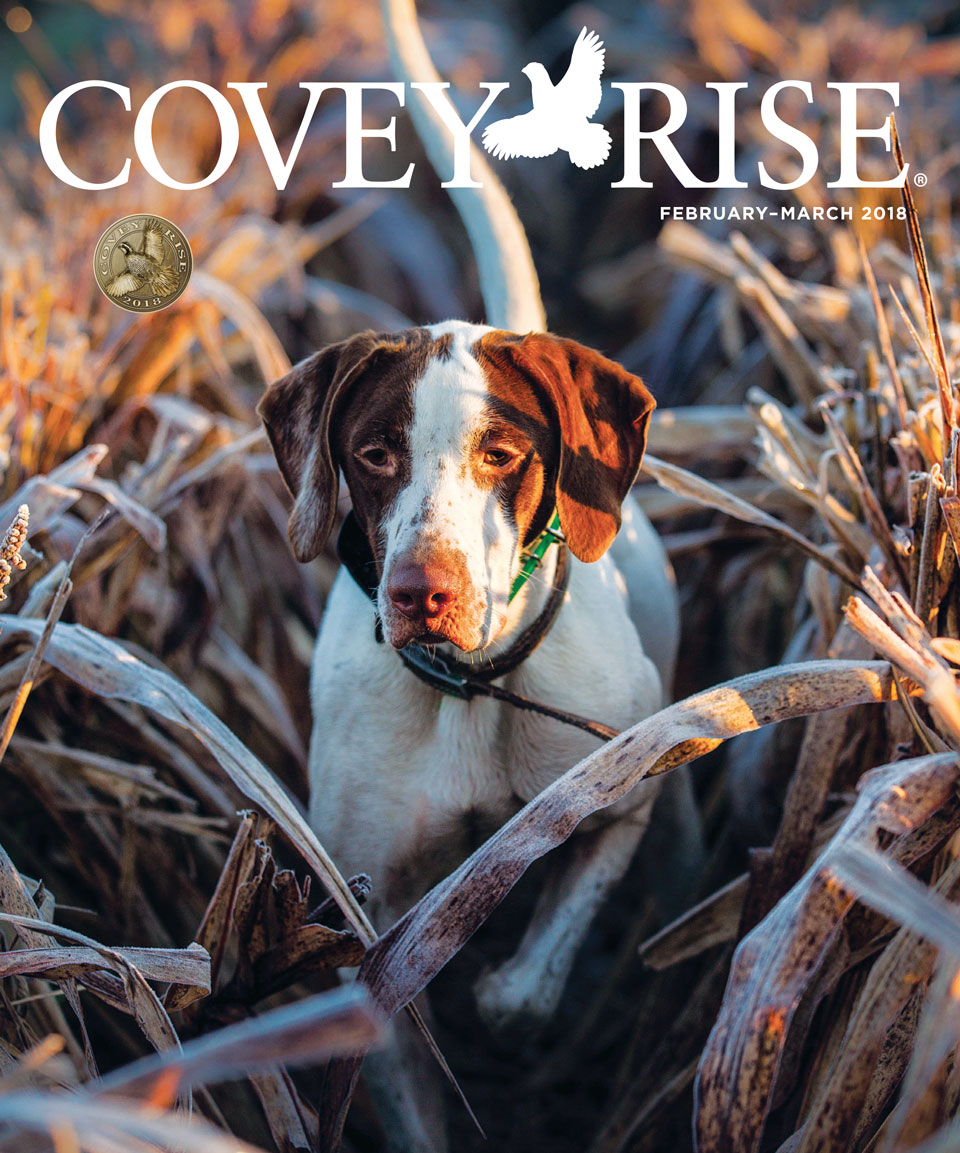 Covey Rise pt. 1