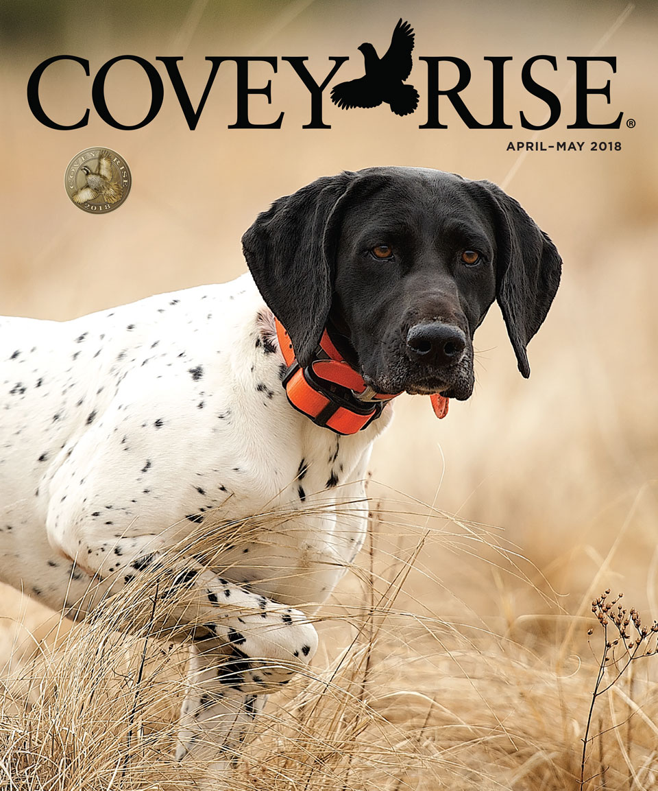 Covey Rise pt. 2